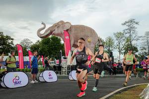 BIB: 
                            <button type="button" onclick="openModal(26528265)" class="btn btn-primary btn-sm float-right btn-popup" data-toggle="modal" data-target=".modal-high-quality">
                        <i class="fas fa-shopping-cart"></i> Add to Cart
                    </button>
                                            <button type="button" onclick="isThisMe(26528265, true)" class="btn btn-success btn-sm float-right btn-popup btn-isme hidden" data-toggle="tooltip" data-placement="bottom" title="นี่คือรูปของคุณใช่ไหม คลิกที่นี่เพื่อเอาเข้าอัลบั้ม">
                        <i class="fas fa-plus"></i> Add to album
                    </button>
                    <button type="button" onclick="isThisMe(26528265, false)" class="btn btn-warning btn-sm float-right btn-popup btn-isnotme hidden">
                        <i class="fas fa-ban"></i> Remove from album
                    </button>